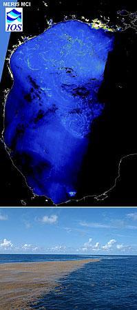 魔のバミューダ海峡